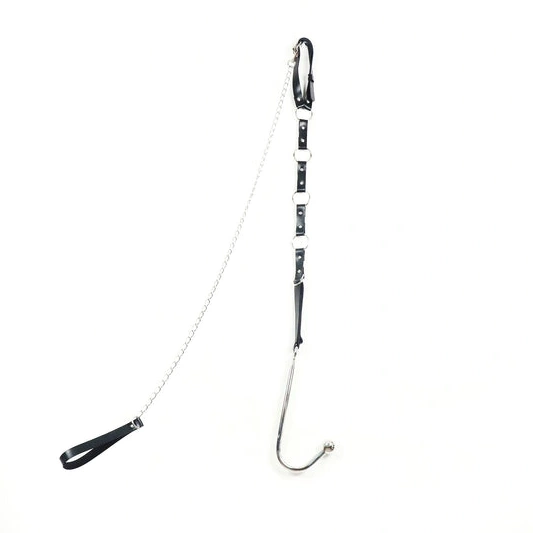 Anal Hooks Anal Hook 5853 EverydayUse Kinky and Leash Collar with 0830